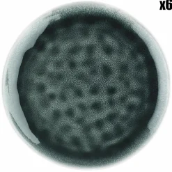 6 Assiettes Moon bleu nuit - D.21 cm