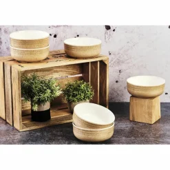 6 Bols Cosmos beige/blanc nacré - D.15.5 cm