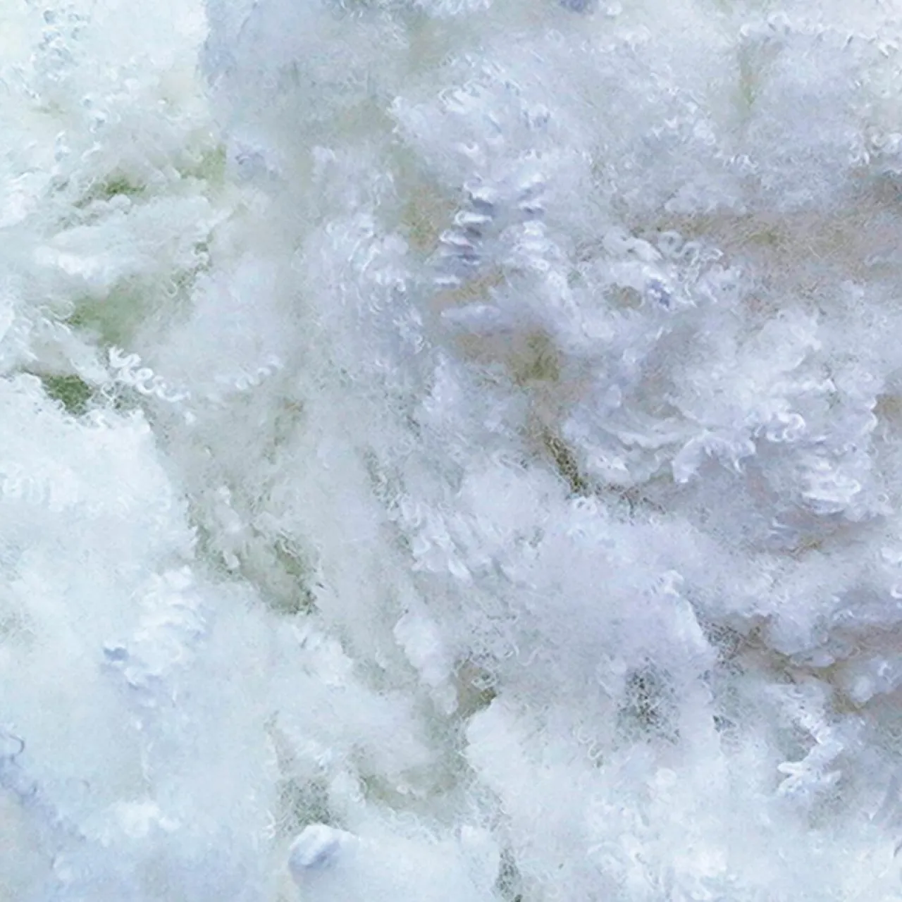 4 Oreillers Alaska à Fibres creuses polyester blancs - 65x65 cm