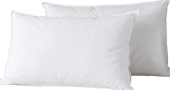 2 Oreillers en Plumes blancs