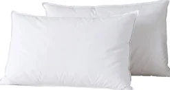 2 Oreillers en Plumes blancs
