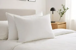 2 Oreillers en Plumes blancs