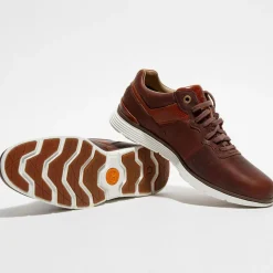 Baskets en Cuir Killington marron