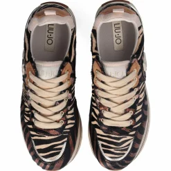 Baskets en Cuir Maxi zébre