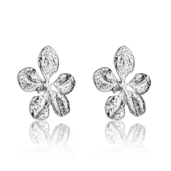 Boucles d'oreilles Zavira argentées