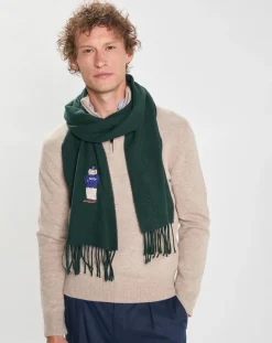 Echarpe en Laine mélangée Harry Dog vert foncé - 180x30 cm