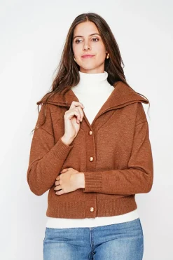 Gilet double col marron