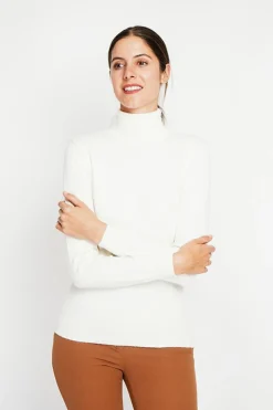Pull col roulé classique naturel