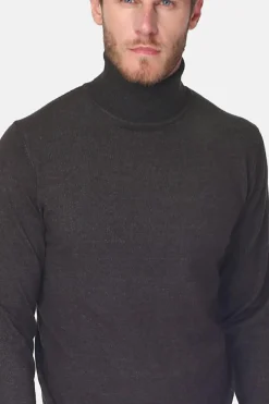 Pull en Cachemire mélangé col roulé loup