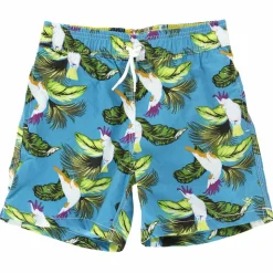 Short de Bain Birds bleu/vert