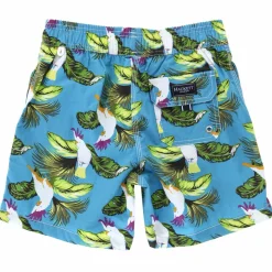 Short de Bain Birds bleu/vert