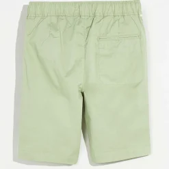 Short Pawl vert thym