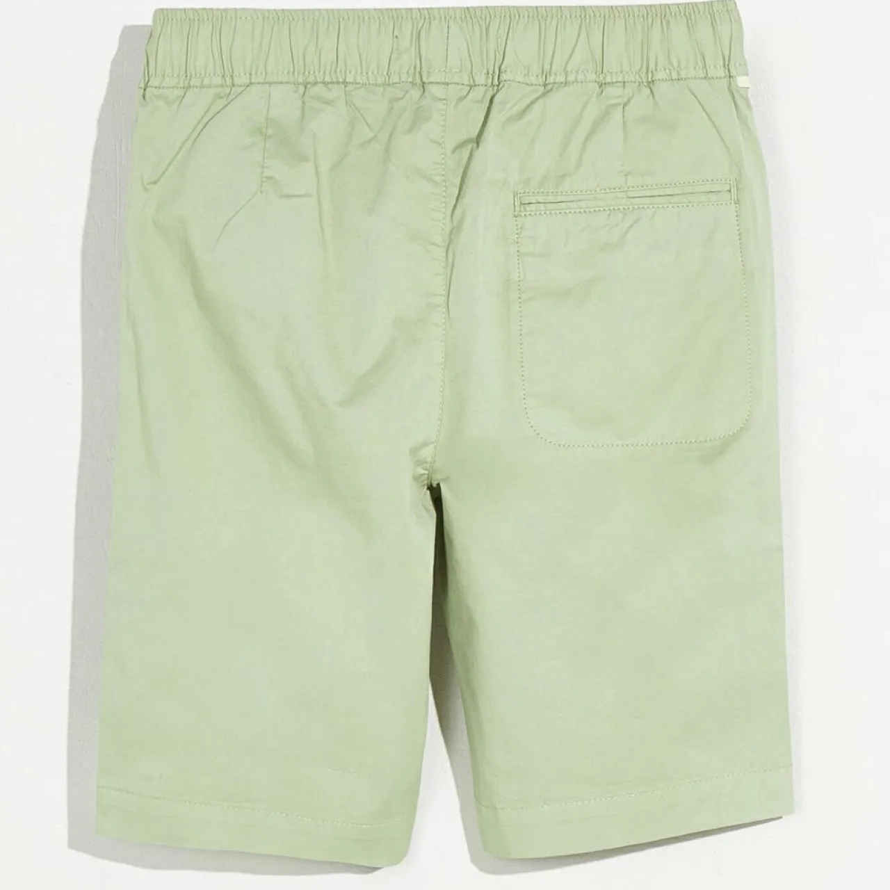 Short Pawl vert thym