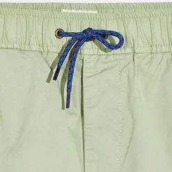 Short Pawl vert thym