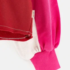 Sweat Faroek sugarcane